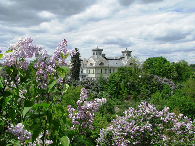 Палац Лопухіних потопає в бузку